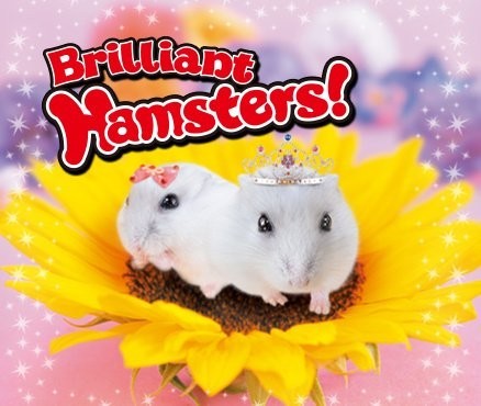 Portada oficial de Brilliant Hamsters!  3DS