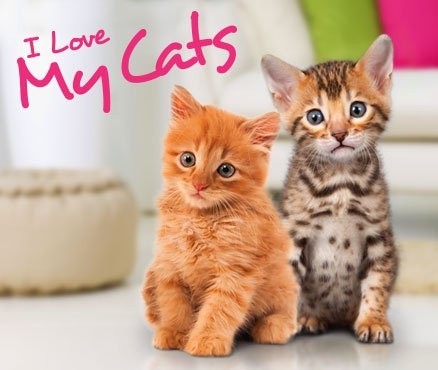 Portada oficial de I Love my Cats  3DS