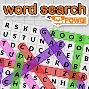 Portada oficial de Word Search by POWGI  3DS