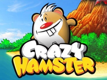 Portada oficial de Crazy Hamster  DSIWARE
