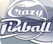 Portada oficial de Crazy Pinball  DSIWARE