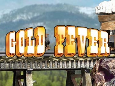 Portada oficial de Gold Fever  DSIWARE