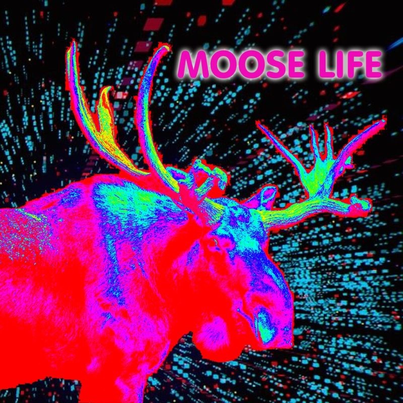 Portada oficial de Moose Life  PS4