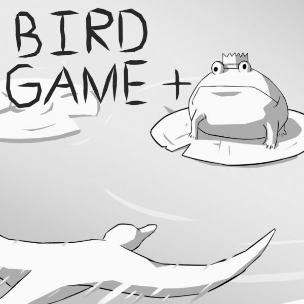 Portada oficial de Bird Game +  SWITCH