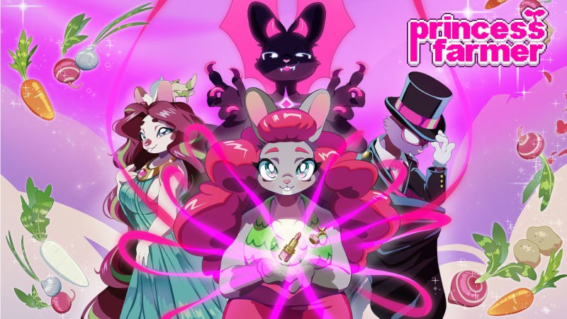 Portada oficial de Princess Farmer  SWITCH