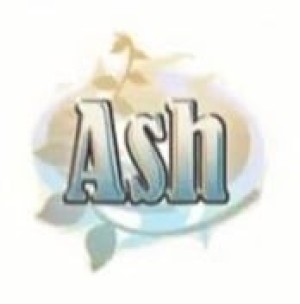 Carátula de ASH  3DS