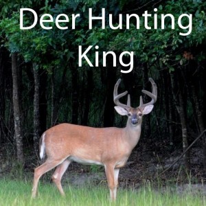 Carátula de Deer Hunting King  3DS