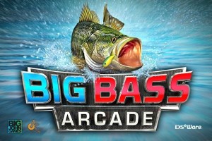 Carátula de Big Bass Arcade  DSIWARE