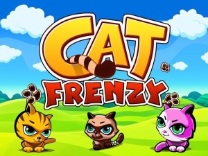 Carátula de Cat Frenzy  DSIWARE