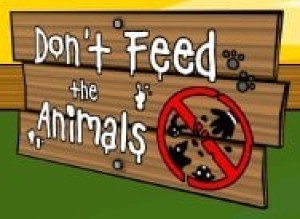 Carátula de Don't Feed the Animals  DSIWARE