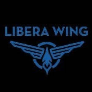 Carátula de Libera Wing  DSIWARE