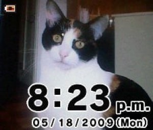 Carátula de Photo Clock  DSIWARE