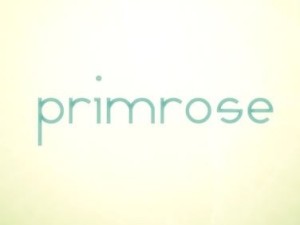 Carátula de Primrose  DSIWARE