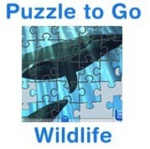 Carátula de Puzzle to Go Wildlife  DSIWARE