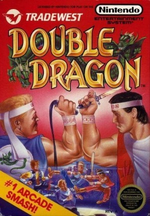 Carátula de Double Dragon  NES