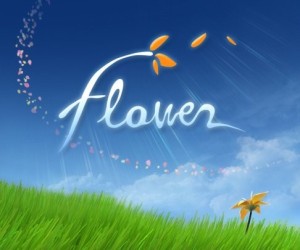 Carátula de flower  PS3