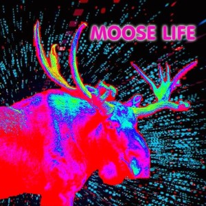 Carátula de Moose Life  PS4