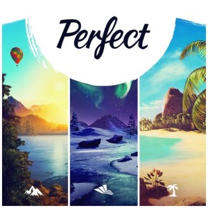 Carátula de Perfect PS4