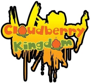Carátula de Cloudberry Kingdom  PSVITA