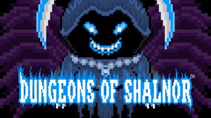 Carátula de Dungeons of Shalnor  SWITCH