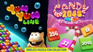 Carátula de Endless Puzzle Fun Collection  SWITCH
