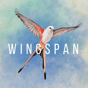 Carátula de Wingspan  SWITCH
